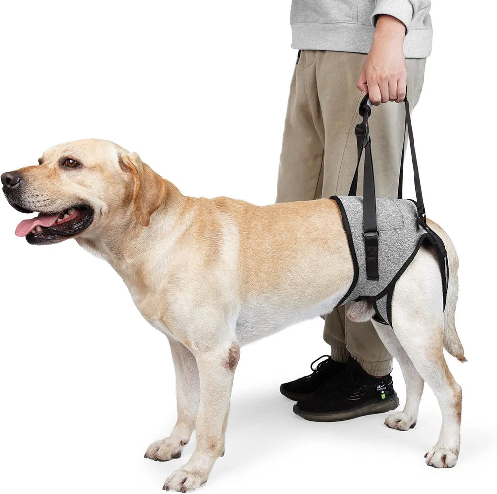 Arnés para perros Help Em Up para patas traseras para perros mayores con patas traseras débiles, discapacidades, artritis o recuperación del ligamento cruzado anterior