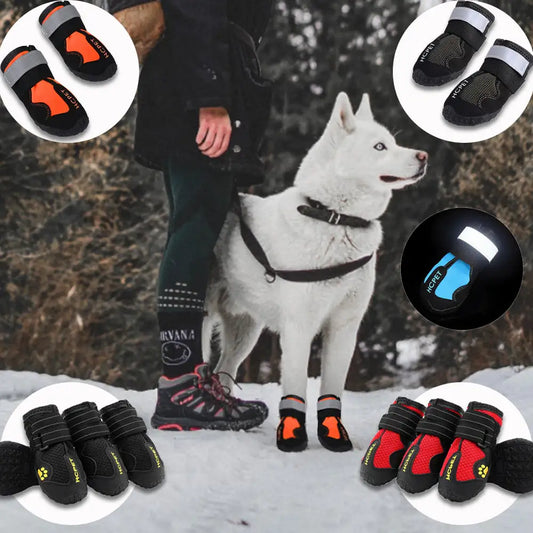 Botas reflectantes impermeables para perros