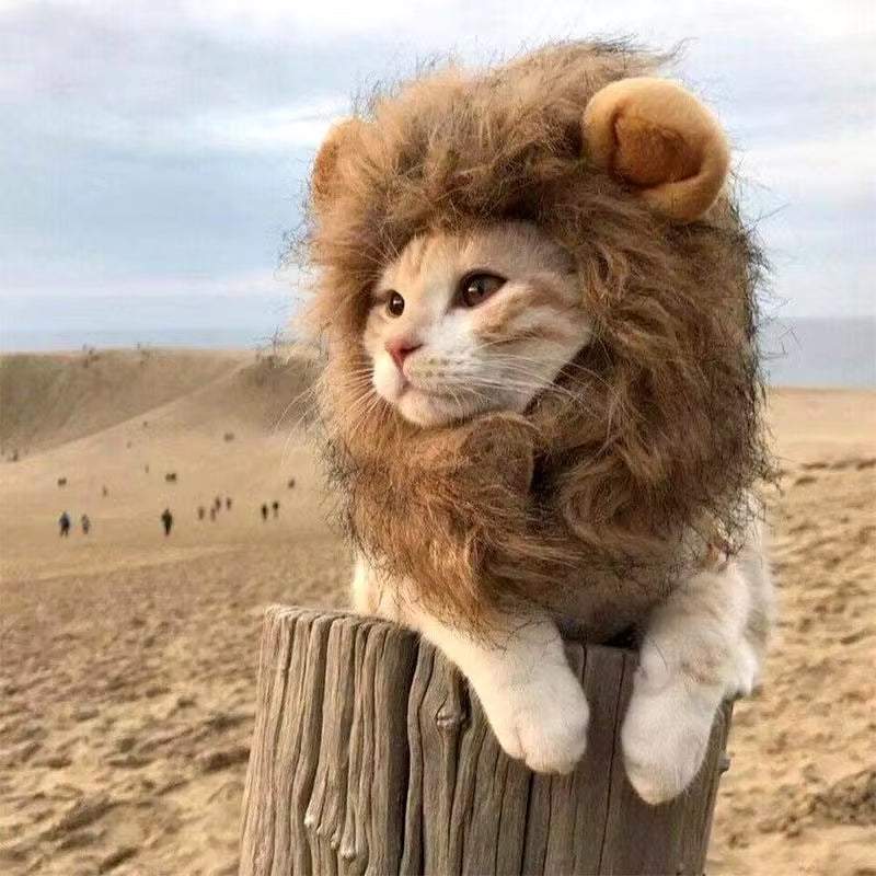 Lindo lindo perro melena de león peluca de gato mascota perro pequeño disfraz de gatos peluca de melena de león sombrero para gatos perros disfraz de lujo cosplay juguete suministros para mascotas