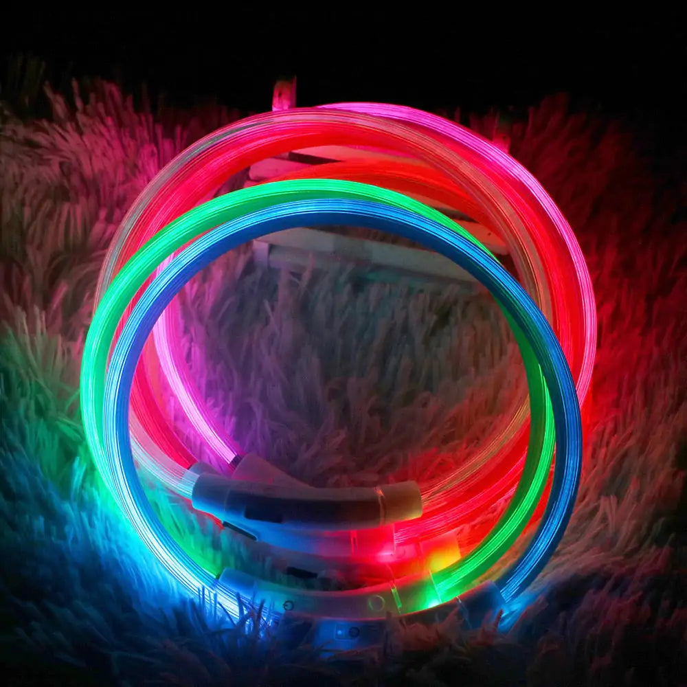 Collares impermeables LED para perros