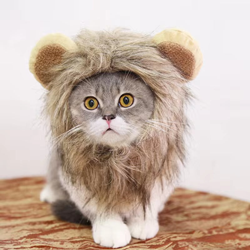 Lindo lindo perro melena de león peluca de gato mascota perro pequeño disfraz de gatos peluca de melena de león sombrero para gatos perros disfraz de lujo cosplay juguete suministros para mascotas