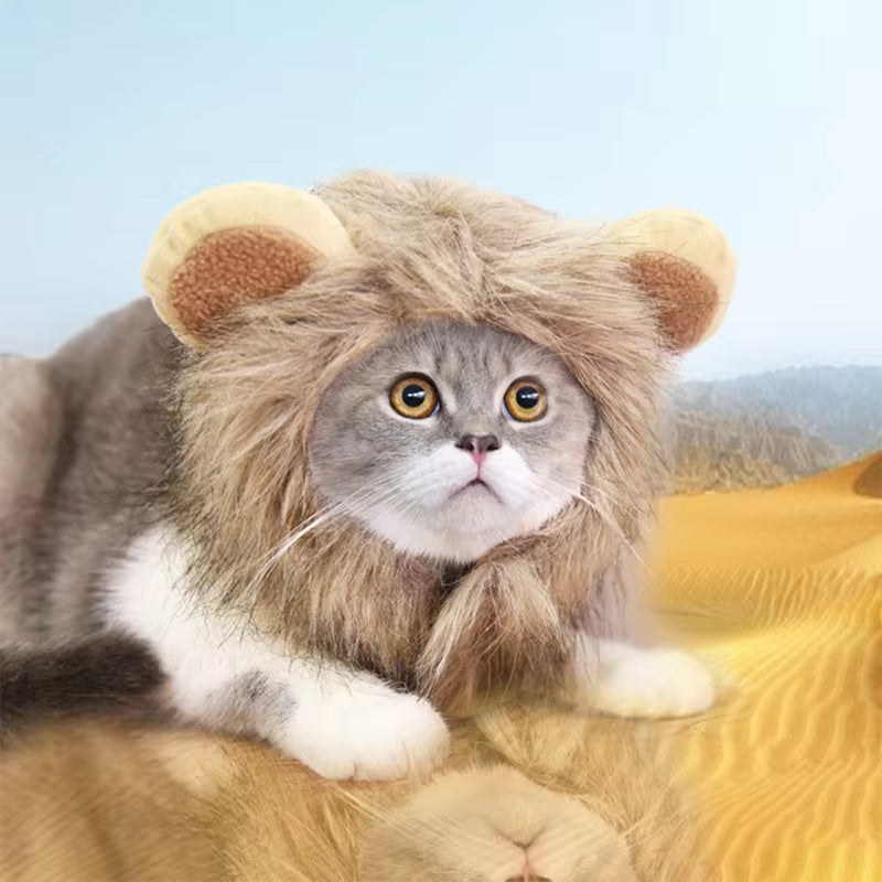 Lindo lindo perro melena de león peluca de gato mascota perro pequeño disfraz de gatos peluca de melena de león sombrero para gatos perros disfraz de lujo cosplay juguete suministros para mascotas