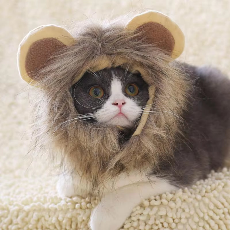 Lindo lindo perro melena de león peluca de gato mascota perro pequeño disfraz de gatos peluca de melena de león sombrero para gatos perros disfraz de lujo cosplay juguete suministros para mascotas