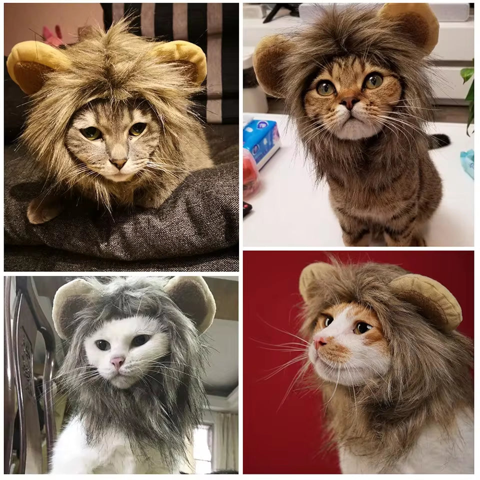 Lindo lindo perro melena de león peluca de gato mascota perro pequeño disfraz de gatos peluca de melena de león sombrero para gatos perros disfraz de lujo cosplay juguete suministros para mascotas