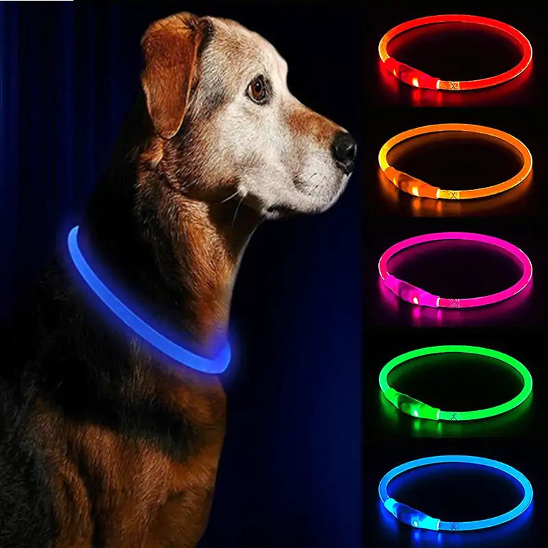 Collares impermeables LED para perros